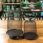 Prato cupula passaro